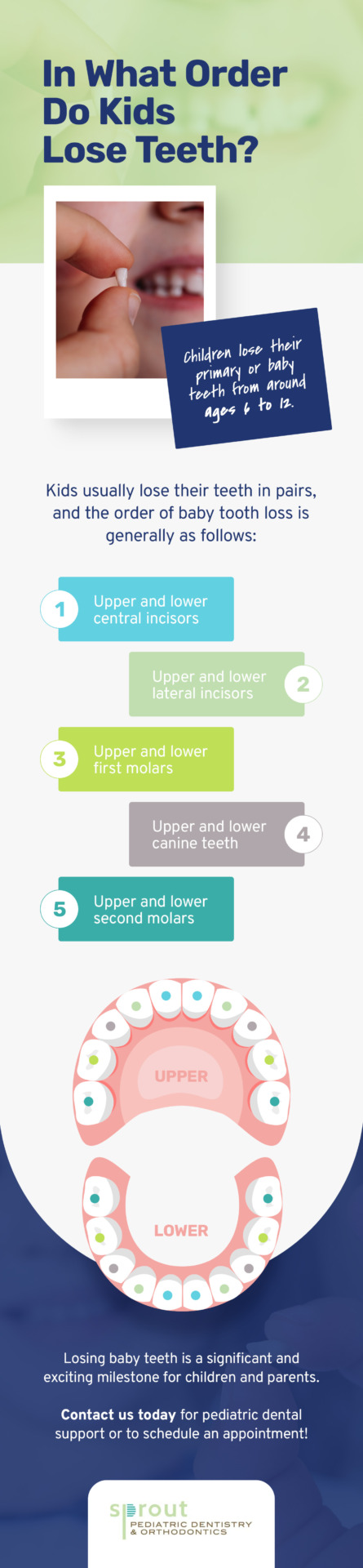 The typical order in which kids lose their pairs of teeth, in five steps
